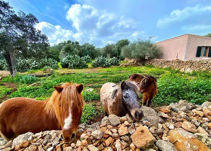 Finca Agroturismo Sa Cova den Borino