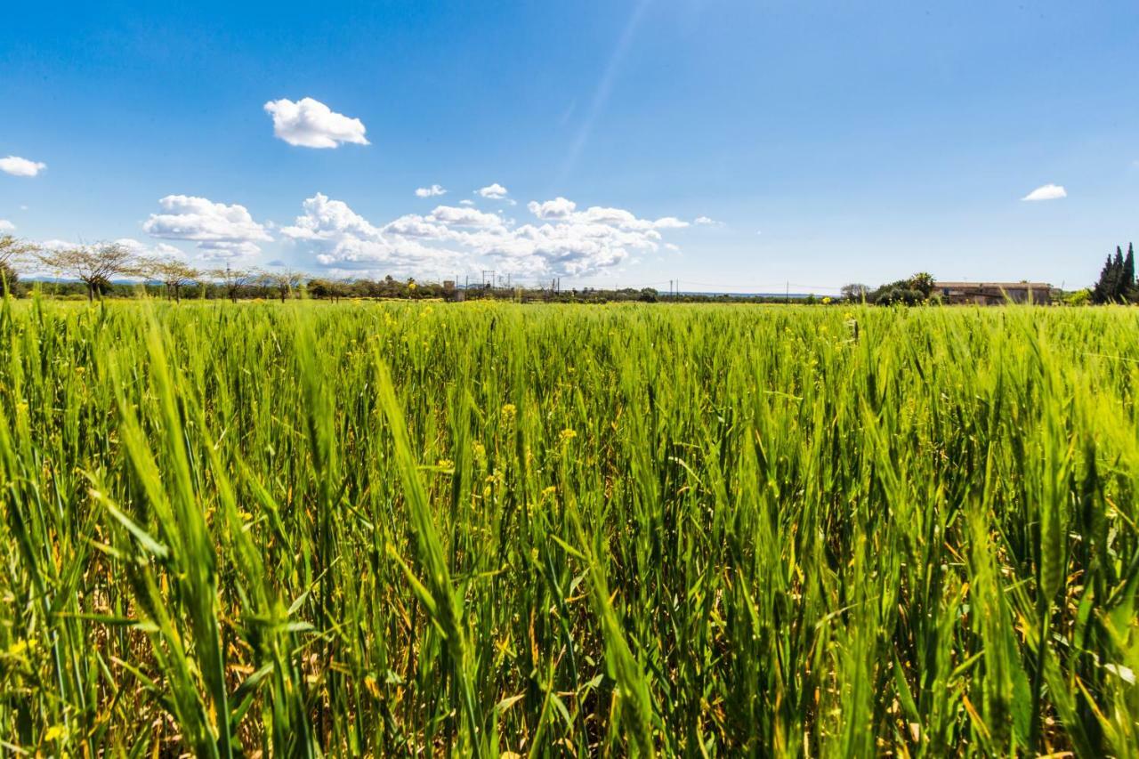 Sa Cova Den Borino Agroturismo